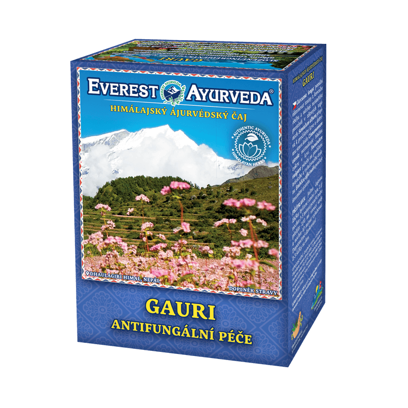 064 Gauri Ájurvédský čaj 100 g.